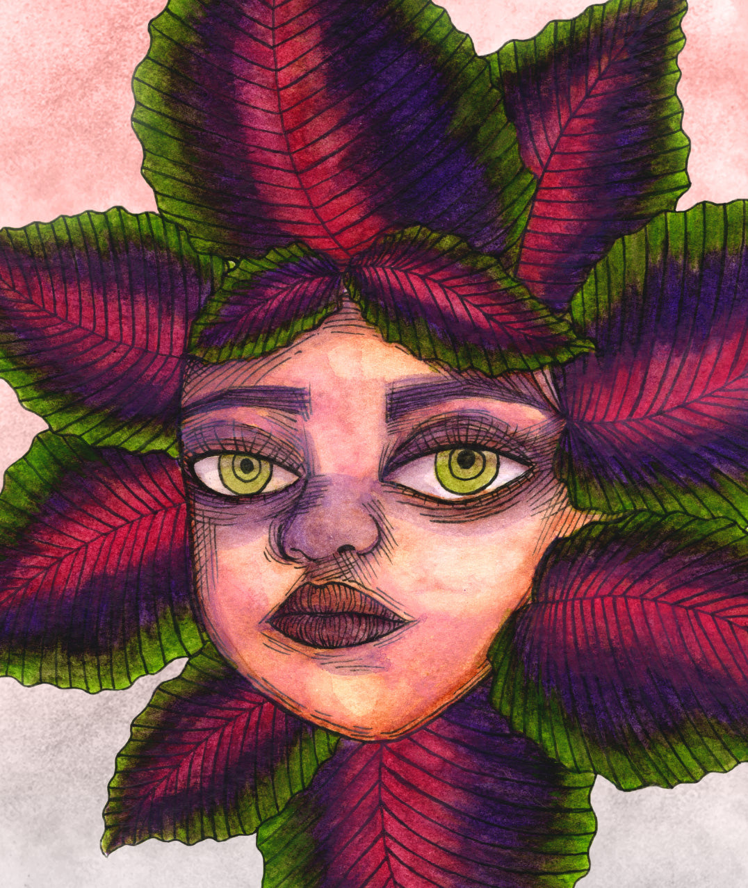 Purple Ivy